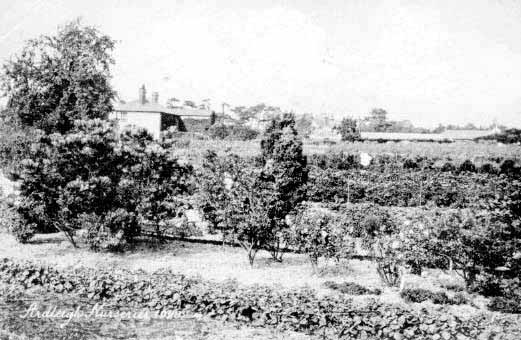 Ardleigh Nurseries